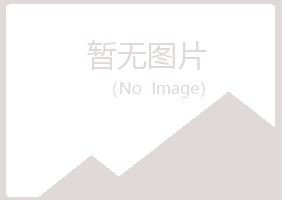 盐池县问雁造纸有限公司